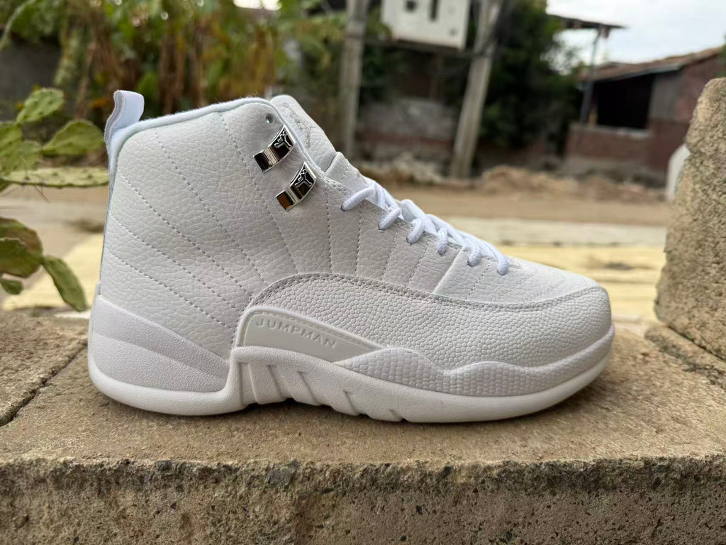 Air Jordan 12 Retro Summit White Men's CT8013-109 | Alpine Manuscript