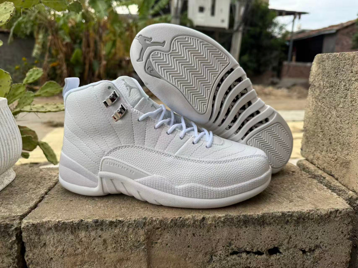 Air Jordan 12 Retro Summit White Men's CT8013-109 | Alpine Manuscript